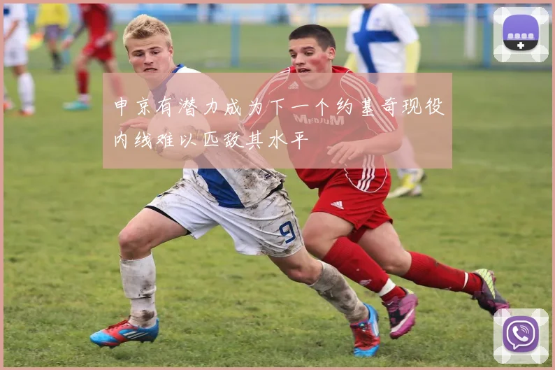 申京有潜力成为下一个约基奇现役内线难以匹敌其水平