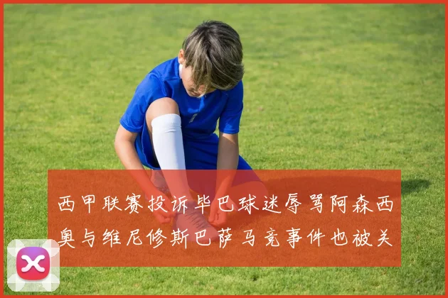西甲联赛投诉毕巴球迷辱骂阿森西奥与维尼修斯巴萨马竞事件也被关注