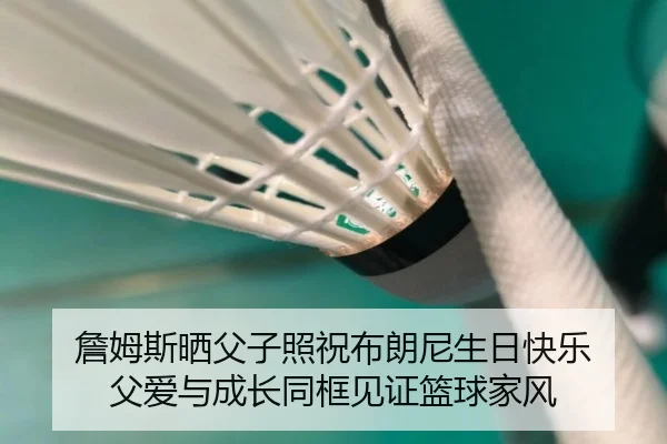 詹姆斯晒父子照祝布朗尼生日快乐 父爱与成长同框见证篮球家风